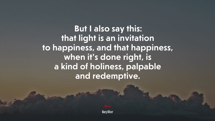 But I also say this: that light is an invitation to happiness, and that happiness, when it’s done right, is a kind of holiness, palpable and redemptive. | Mary Oliver quote