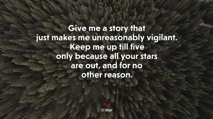 Give me a story that just makes me unreasonably vigilant. Keep me up till five only because all your stars are out, and for no other reason. | J.D. Salinger quote