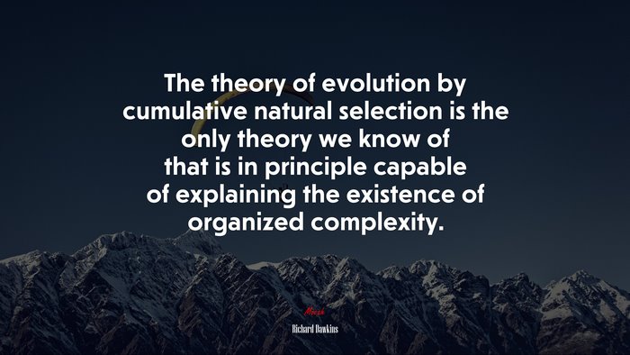 The theory of evolution by cumulative natural selection is the only theory we know of that is in principle capable of explaining the existence of organized complexity. | Richard Dawkins quote