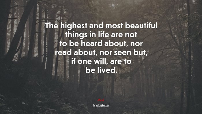 The highest and most beautiful things in life are not to be heard about, nor read about, nor seen but, if one will, are to be lived. | Soren Kierkegaard quote