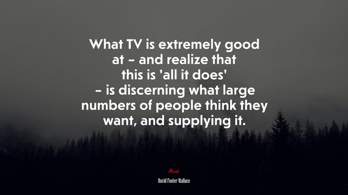 What TV is extremely good at – and realize that this is ‘all it does’ – is discerning what large numbers of people think they want, and supplying it. | David Foster Wallace quote