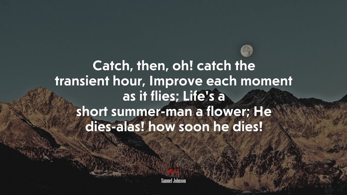 Catch, then, oh! catch the transient hour, Improve each moment as it flies; Life’s a short summer-man a flower; He dies-alas! how soon he dies! | Samuel Johnson quote