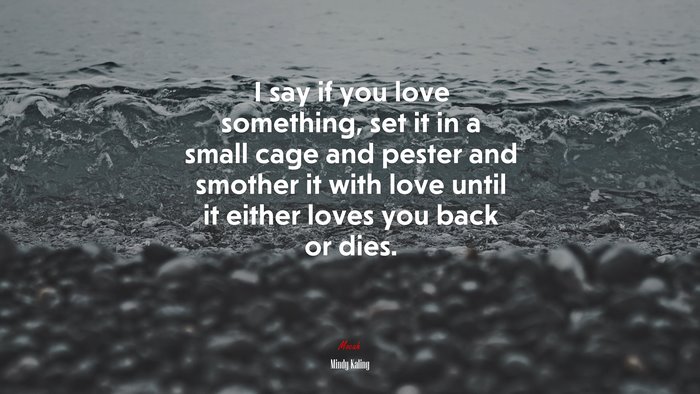 I say if you love something, set it in a small cage and pester and smother it with love until it either loves you back or dies. | Mindy Kaling quote