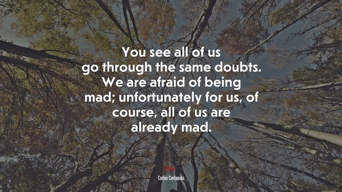 You see all of us go through the same doubts. We are afraid of being mad; unfortunately for us, of course, all of us are already mad. | Carlos Castaneda quote