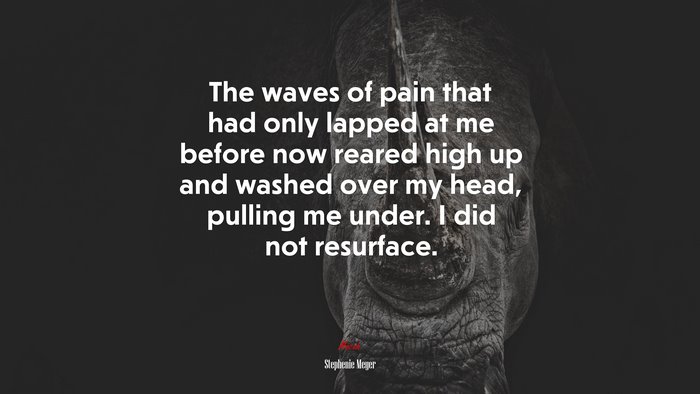 The waves of pain that had only lapped at me before now reared high up and washed over my head, pulling me under. I did not resurface. | Stephenie Meyer quote
