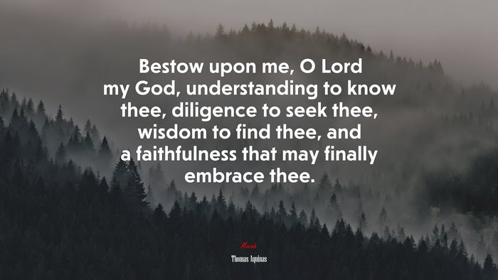 Bestow upon me, O Lord my God, understanding to know thee, diligence to seek thee, wisdom to find thee, and a faithfulness that may finally embrace thee. | Thomas Aquinas quote