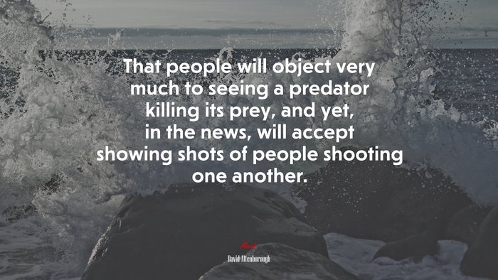 That people will object very much to seeing a predator killing its prey, and yet, in the news, will accept showing shots of people shooting one another. | David Attenborough quote