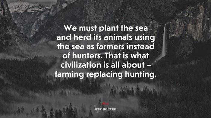 We must plant the sea and herd its animals using the sea as farmers instead of hunters. That is what civilization is all about – farming replacing hunting. | Jacques-Yves Cousteau quote