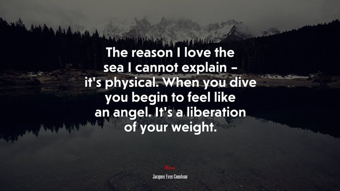 The reason I love the sea I cannot explain – it’s physical. When you dive you begin to feel like an angel. It’s a liberation of your weight. | Jacques-Yves Cousteau quote