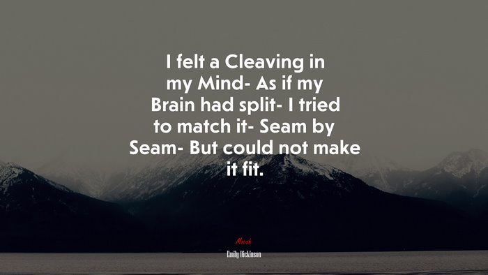 I felt a Cleaving in my Mind- As if my Brain had split- I tried to match it- Seam by Seam- But could not make it fit. | Emily Dickinson quote