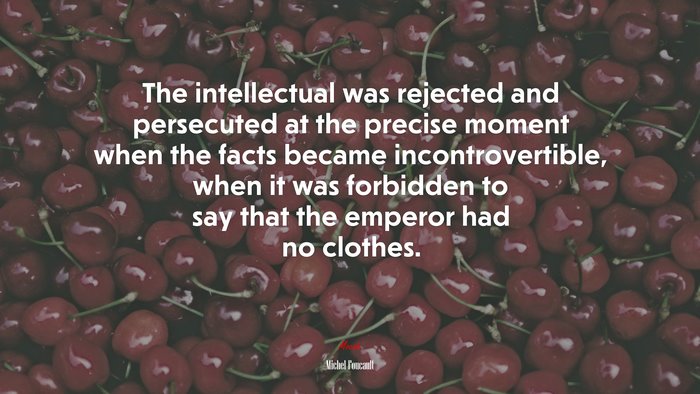 The intellectual was rejected and persecuted at the precise moment when the facts became incontrovertible, when it was forbidden to say that the emperor had no clothes. | Michel Foucault quote