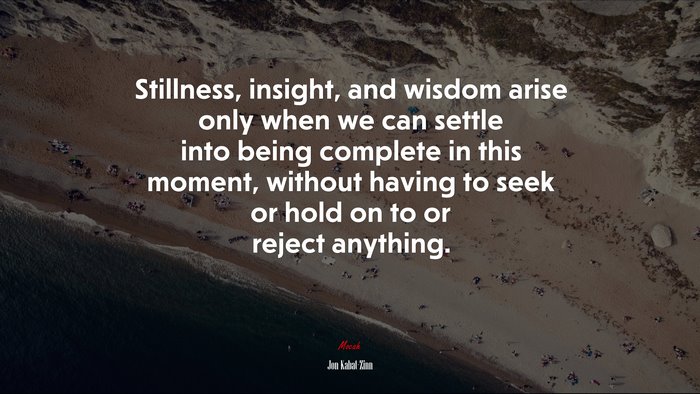 Stillness, insight, and wisdom arise only when we can settle into being complete in this moment, without having to seek or hold on to or reject anything. | Jon Kabat-Zinn quote