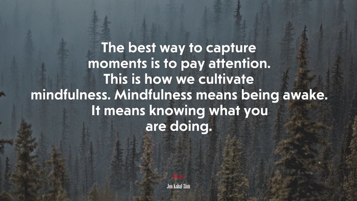 The best way to capture moments is to pay attention. This is how we cultivate mindfulness. Mindfulness means being awake. It means knowing what you are doing. | Jon Kabat-Zinn quote