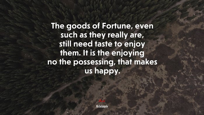 The goods of Fortune, even such as they really are, still need taste to enjoy them. It is the enjoying no the possessing, that makes us happy. | Michelangelo quote