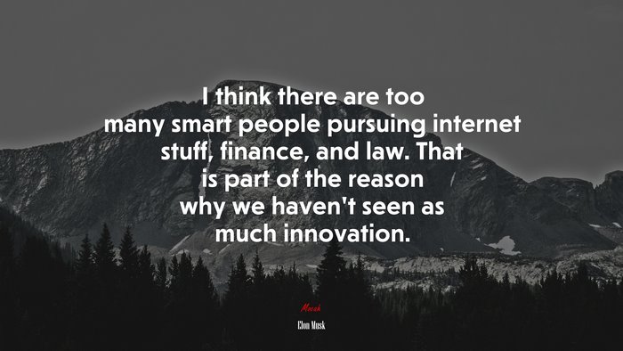 I think there are too many smart people pursuing internet stuff, finance, and law. That is part of the reason why we haven’t seen as much innovation. | Elon Musk quote