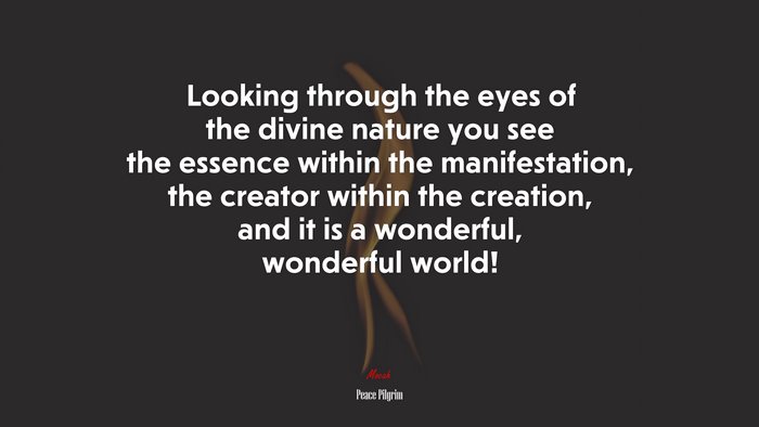 Looking through the eyes of the divine nature you see the essence within the manifestation, the creator within the creation, and it is a wonderful, wonderful world! | Peace Pilgrim quote