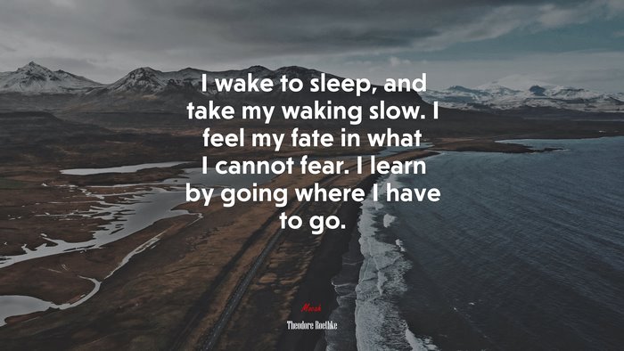 I wake to sleep, and take my waking slow. I feel my fate in what I cannot fear. I learn by going where I have to go. | Theodore Roethke quote