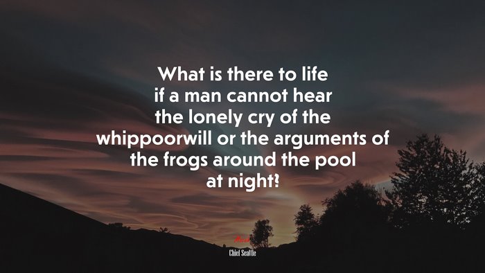 What is there to life if a man cannot hear the lonely cry of the whippoorwill or the arguments of the frogs around the pool at night? | Chief Seattle quote