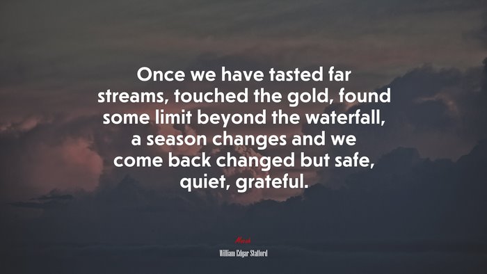 Once we have tasted far streams, touched the gold, found some limit beyond the waterfall, a season changes and we come back changed but safe, quiet, grateful. | William Edgar Stafford quote