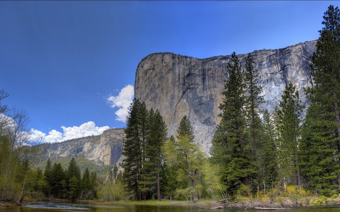 El Capitan Yosemite Valley California
