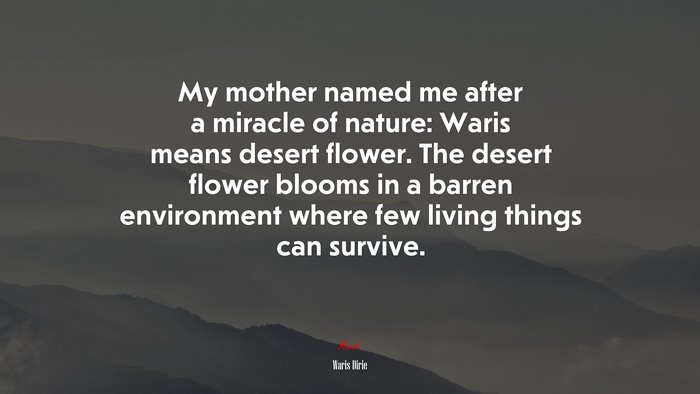 My mother named me after a miracle of nature: Waris means desert flower. The desert flower blooms in a barren environment where few living things can survive. | Waris Dirie quote