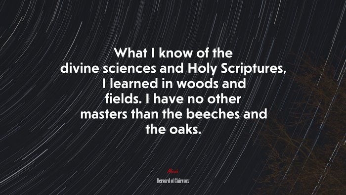 What I know of the divine sciences and Holy Scriptures, I learned in woods and fields. I have no other masters than the beeches and the oaks. | Bernard of Clairvaux quote