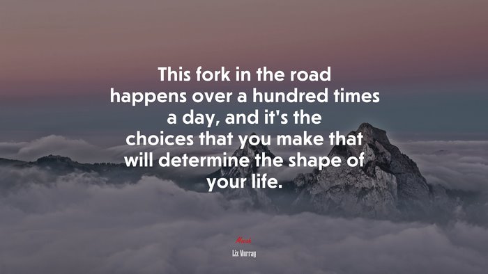 This fork in the road happens over a hundred times a day, and it’s the choices that you make that will determine the shape of your life. | Liz Murray quote