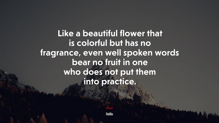 Like a beautiful flower that is colorful but has no fragrance, even well spoken words bear no fruit in one who does not put them into practice. | Buddha quote