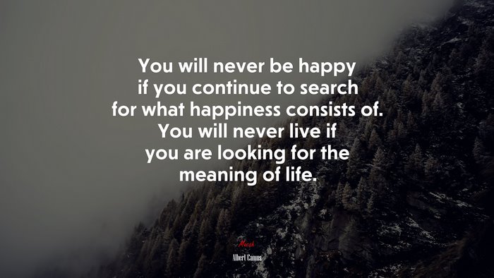 You will never be happy if you continue to search for what happiness consists of. You will never live if you are looking for the meaning of life. | Albert Camus quote