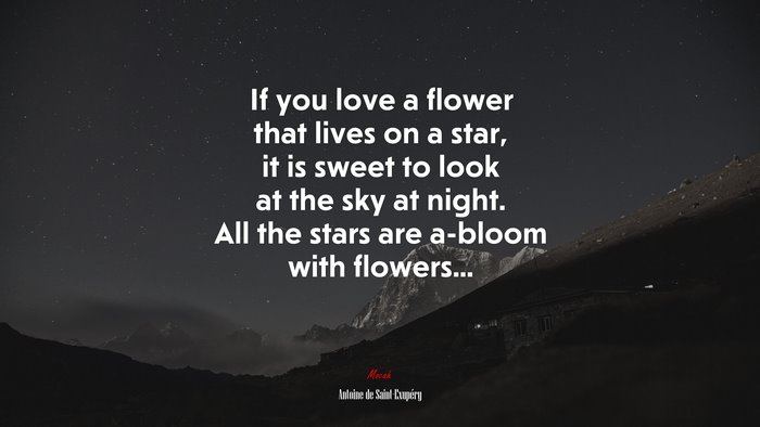 If you love a flower that lives on a star, it is sweet to look at the sky at night. All the stars are a-bloom with flowers... | Antoine de Saint-Exupéry quote