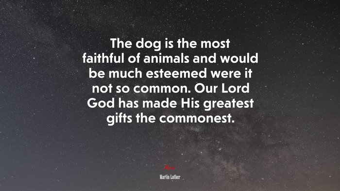 The dog is the most faithful of animals and would be much esteemed were it not so common. Our Lord God has made His greatest gifts the commonest. | Martin Luther quote