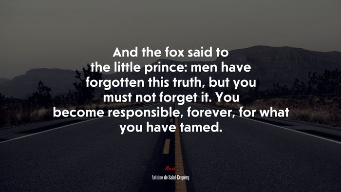 And the fox said to the little prince: men have forgotten this truth, but you must not forget it. You become responsible, forever, for what you have tamed. | Antoine de Saint-Exupéry quote