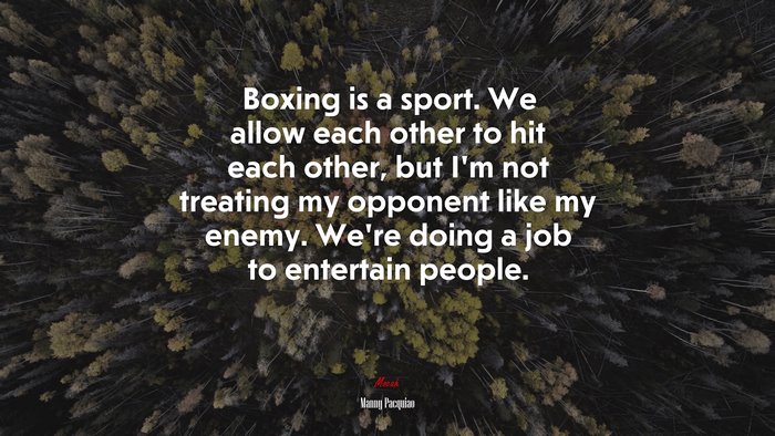 Boxing is a sport. We allow each other to hit each other, but I’m not treating my opponent like my enemy. We’re doing a job to entertain people. | Manny Pacquiao quote