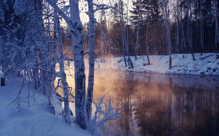 Misty river in a snowy forest at sunrise