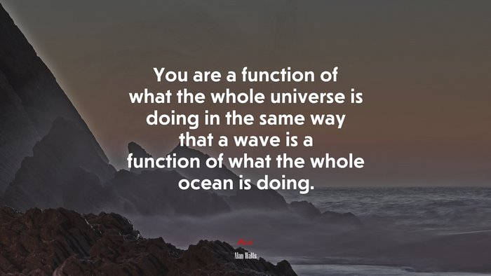 You are a function of what the whole universe is doing in the same way that a wave is a function of what the whole ocean is doing. | Alan Watts quote