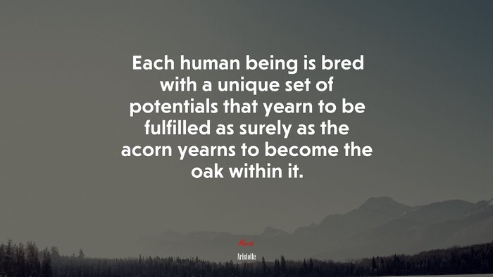 Each human being is bred with a unique set of potentials that yearn to be fulfilled as surely as the acorn yearns to become the oak within it. | Aristotle quote