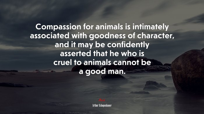 Compassion for animals is intimately associated with goodness of character, and it may be confidently asserted that he who is cruel to animals cannot be a good man. | Arthur Schopenhauer quote