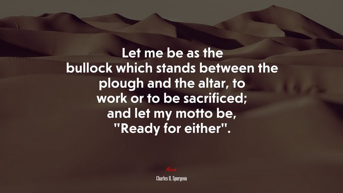 Let me be as the bullock which stands between the plough and the altar, to work or to be sacrificed; and let my motto be, “Ready for either”. | Charles H. Spurgeon quote