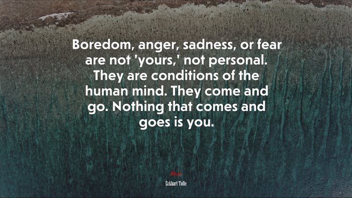 Boredom, anger, sadness, or fear are not ‘yours,’ not personal. They are conditions of the human mind. They come and go. Nothing that comes and goes is you. | Eckhart Tolle quote