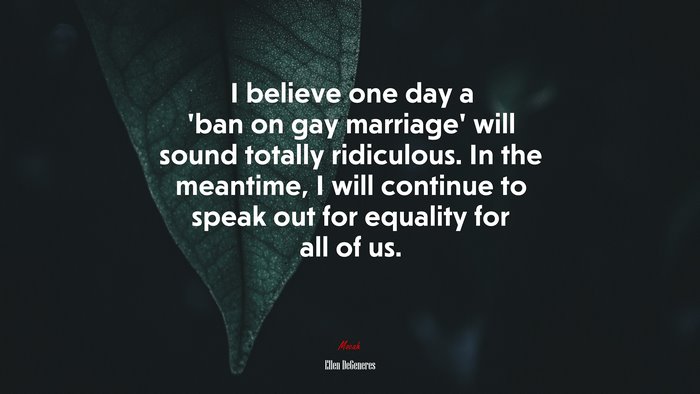 I believe one day a ‘ban on gay marriage’ will sound totally ridiculous. In the meantime, I will continue to speak out for equality for all of us. | Ellen DeGeneres quote