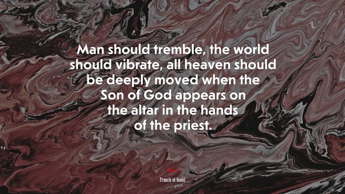 Man should tremble, the world should vibrate, all heaven should be deeply moved when the Son of God appears on the altar in the hands of the priest. | Francis of Assisi quote