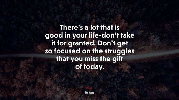 There’s a lot that is good in your life-don’t take it for granted. Don’t get so focused on the struggles that you miss the gift of today. | Joel Osteen quote