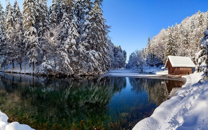 Snowy forest with a lake and a wooden cabin