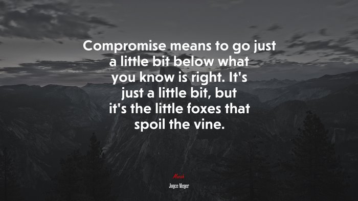 Compromise means to go just a little bit below what you know is right. It’s just a little bit, but it’s the little foxes that spoil the vine. | Joyce Meyer quote