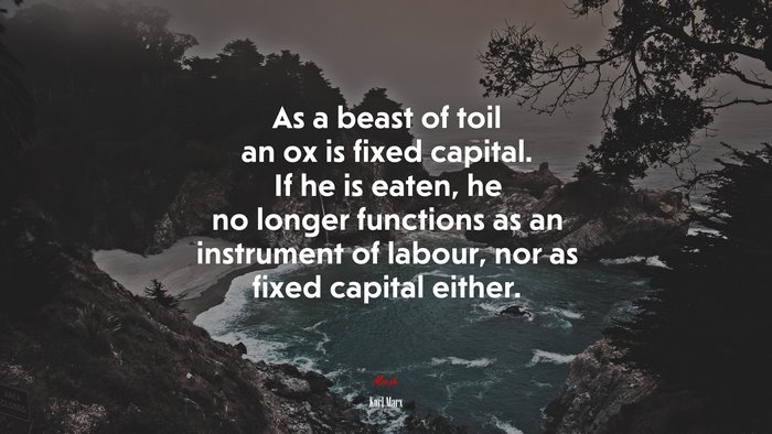 As a beast of toil an ox is fixed capital. If he is eaten, he no longer functions as an instrument of labour, nor as fixed capital either. | Karl Marx quote