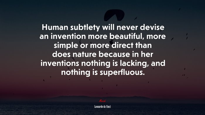 Human subtlety will never devise an invention more beautiful, more simple or more direct than does nature because in her inventions nothing is lacking, and nothing is superfluous. | Leonardo da Vinci quote