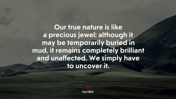 Our true nature is like a precious jewel: although it may be temporarily buried in mud, it remains completely brilliant and unaffected. We simply have to uncover it. | Pema Chödrön quote