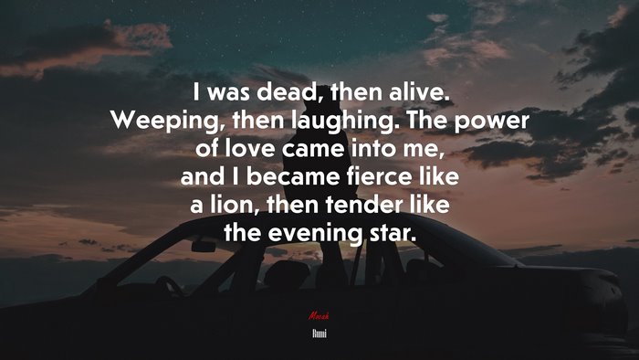 I was dead, then alive. Weeping, then laughing. The power of love came into me, and I became fierce like a lion, then tender like the evening star. | Rumi quote