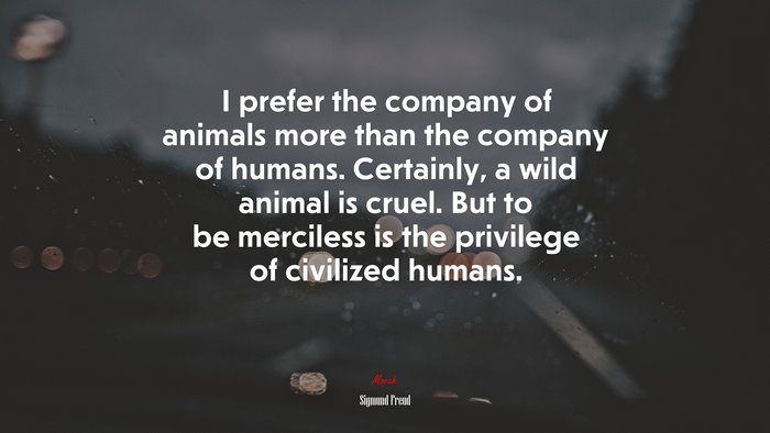 I prefer the company of animals more than the company of humans. Certainly, a wild animal is cruel. But to be merciless is the privilege of civilized humans. | Sigmund Freud quote
