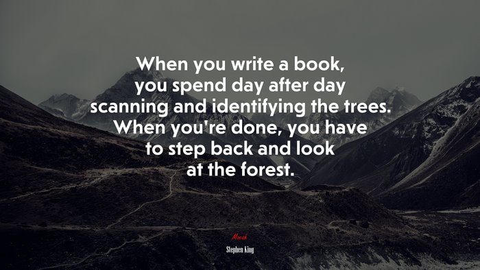 When you write a book, you spend day after day scanning and identifying the trees. When you’re done, you have to step back and look at the forest. | Stephen King quote